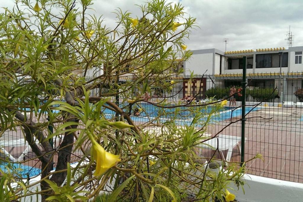 Apartamento Drago Costa Del Silencio Exterior foto